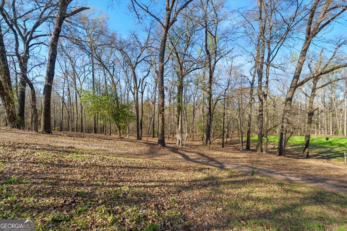 24100 Us Highway 441 Milledgeville - Photo 46