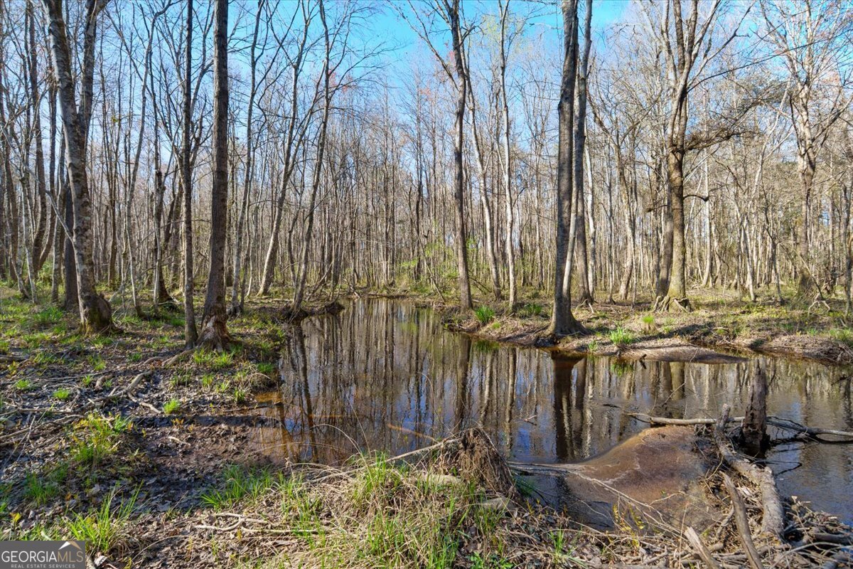 24100 Us Highway 441 Milledgeville - Photo 47