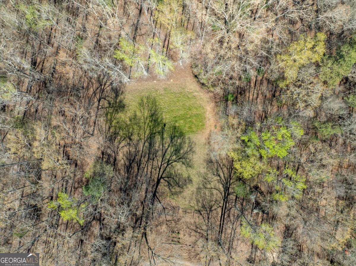 24100 Us Highway 441 Milledgeville - Photo 54