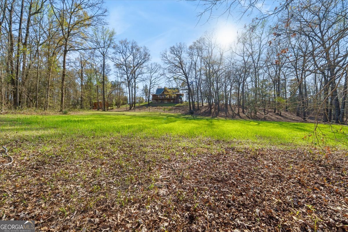 24100 Us Highway 441 Milledgeville - Photo 6