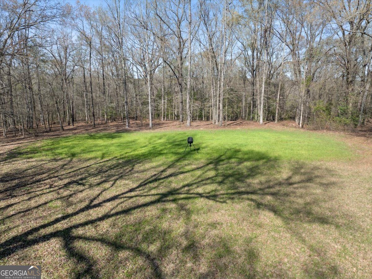 24100 Us Highway 441 Milledgeville - Photo 61