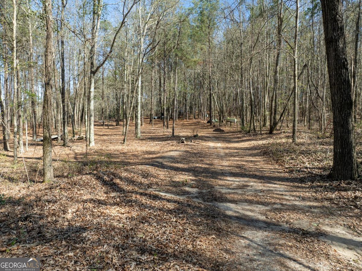 24100 Us Highway 441 Milledgeville - Photo 62