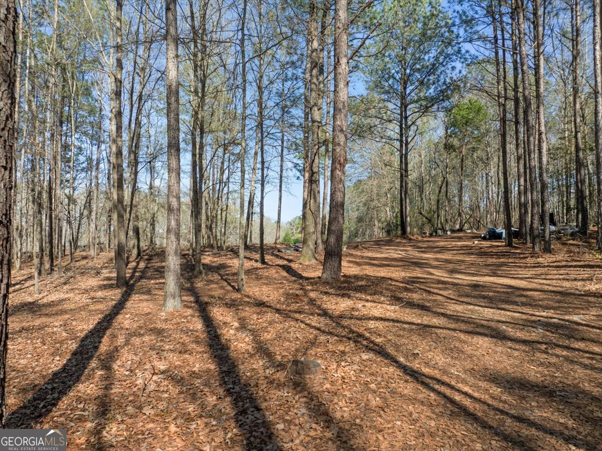 24100 Us Highway 441 Milledgeville - Photo 63