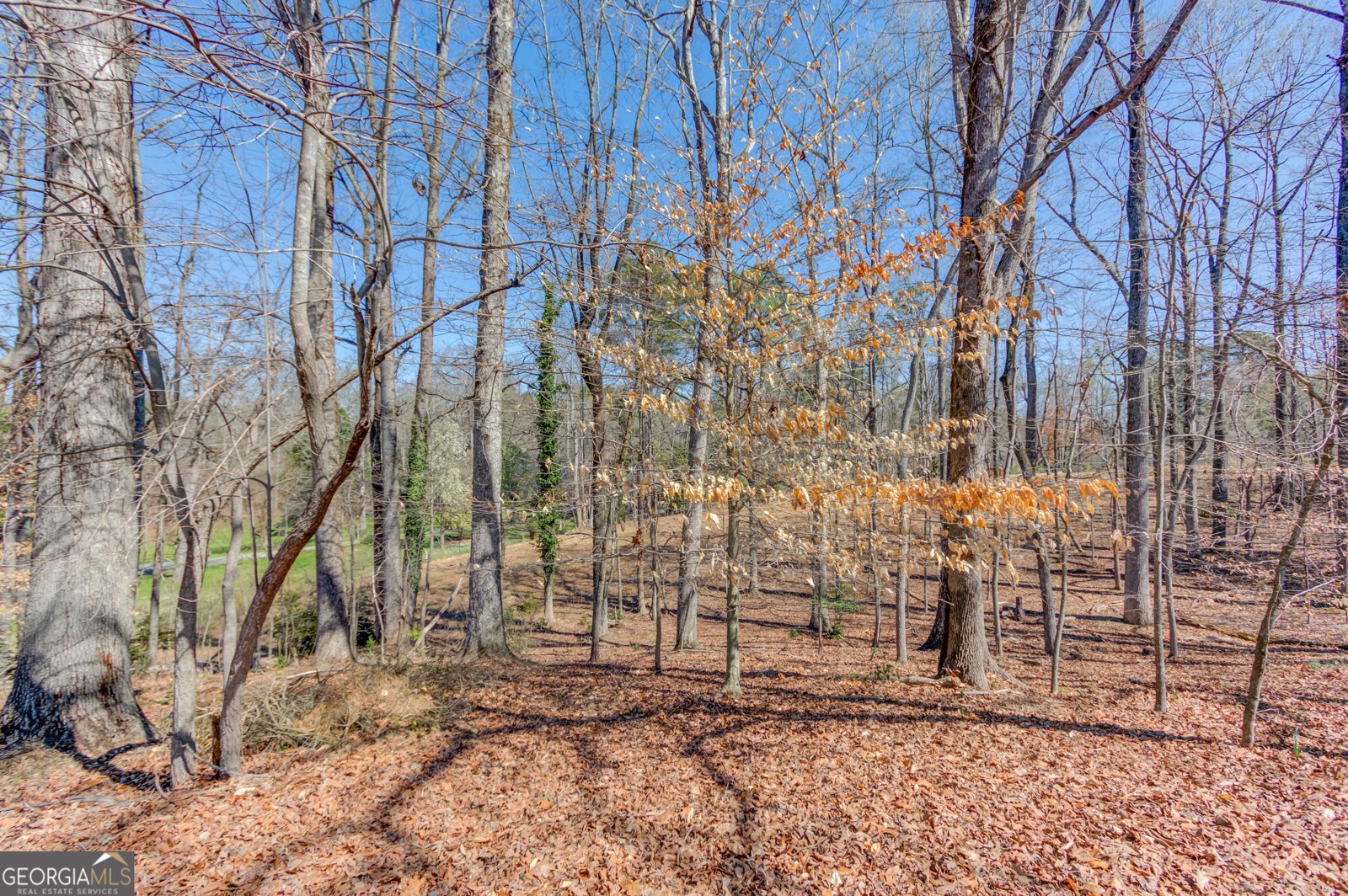 3410 Maynard Circle Gainesville - Photo 44