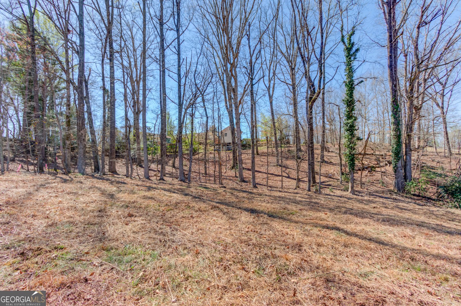 3410 Maynard Circle Gainesville - Photo 48