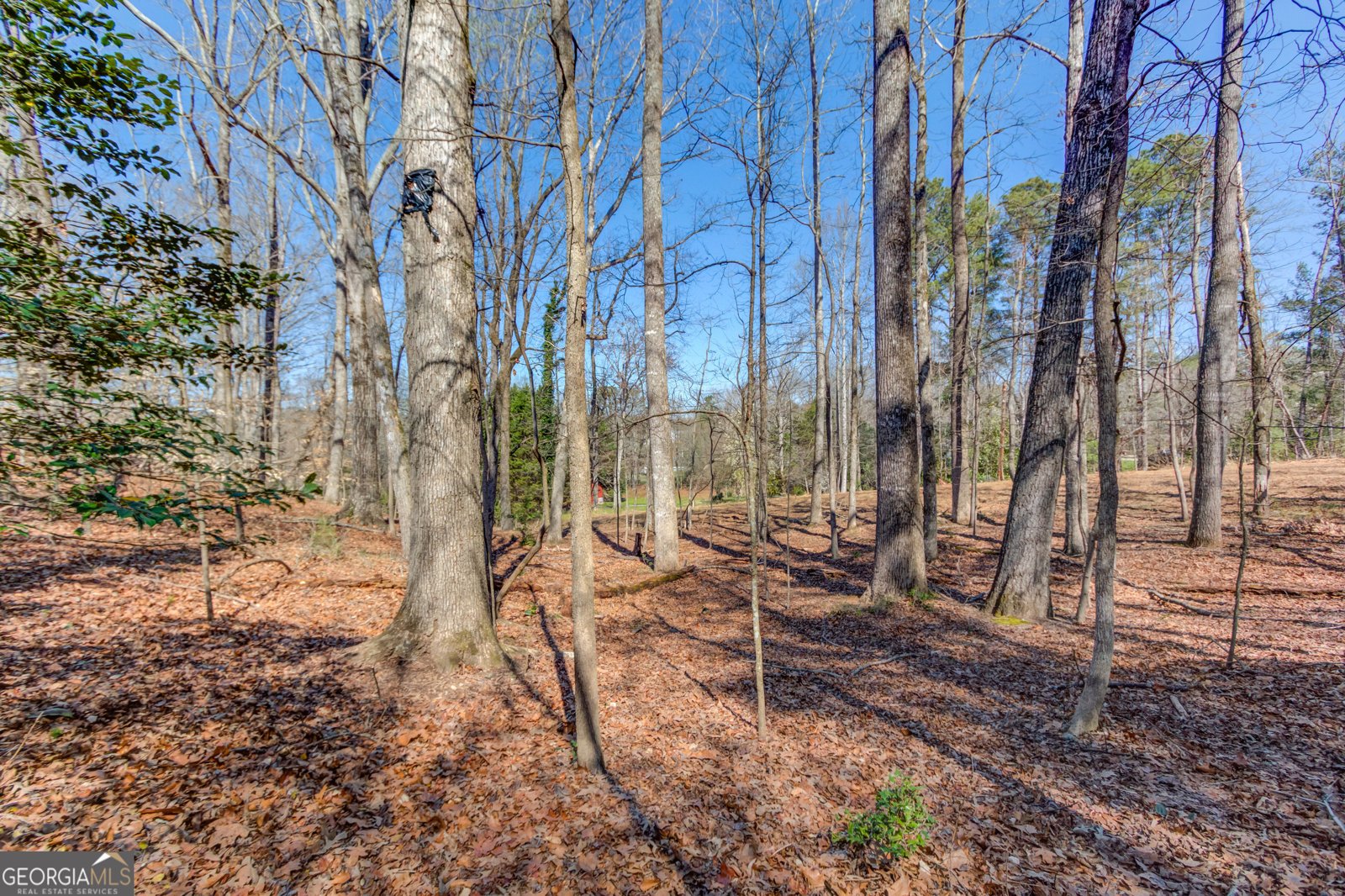 3410 Maynard Circle Gainesville - Photo 52