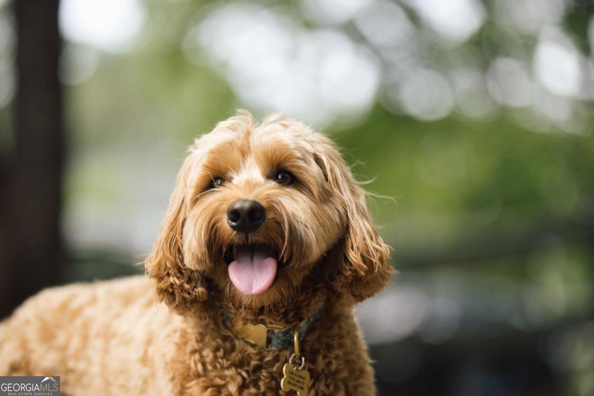 1111 Providence Loop Greensboro - Photo 57