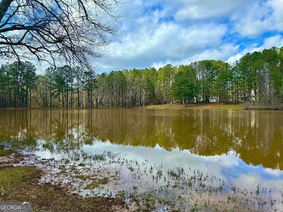 146 Jeb Stuart Drive Newnan - Photo 62