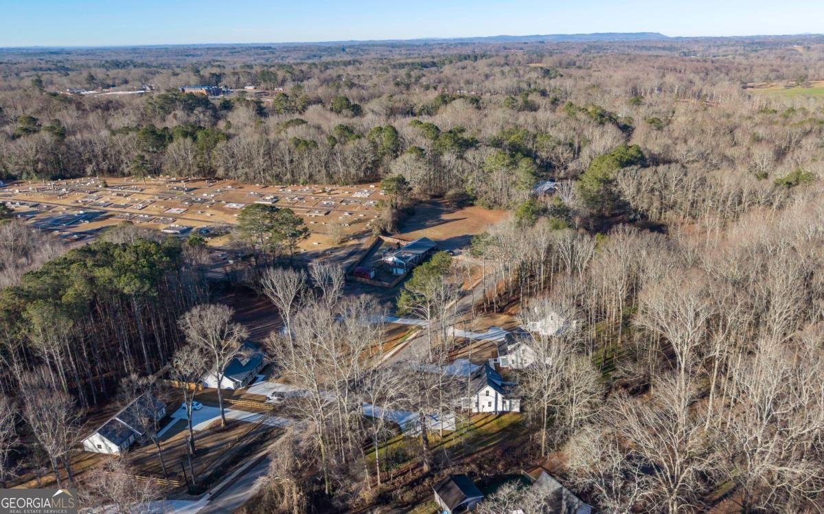 485 West Avenue Bowdon - Photo 43