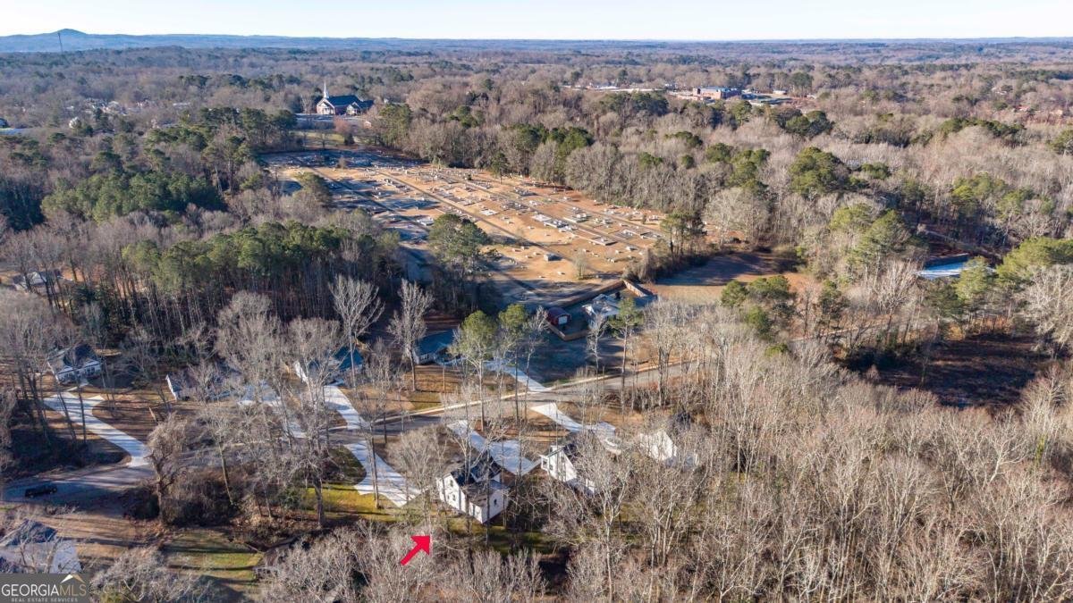 485 West Avenue Bowdon - Photo 45