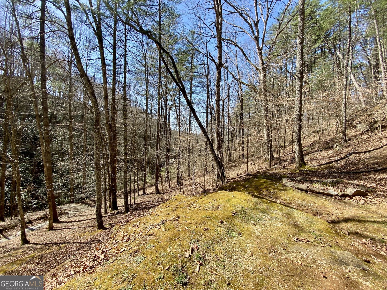 119 Cub Lane Rabun Gap - Photo 32