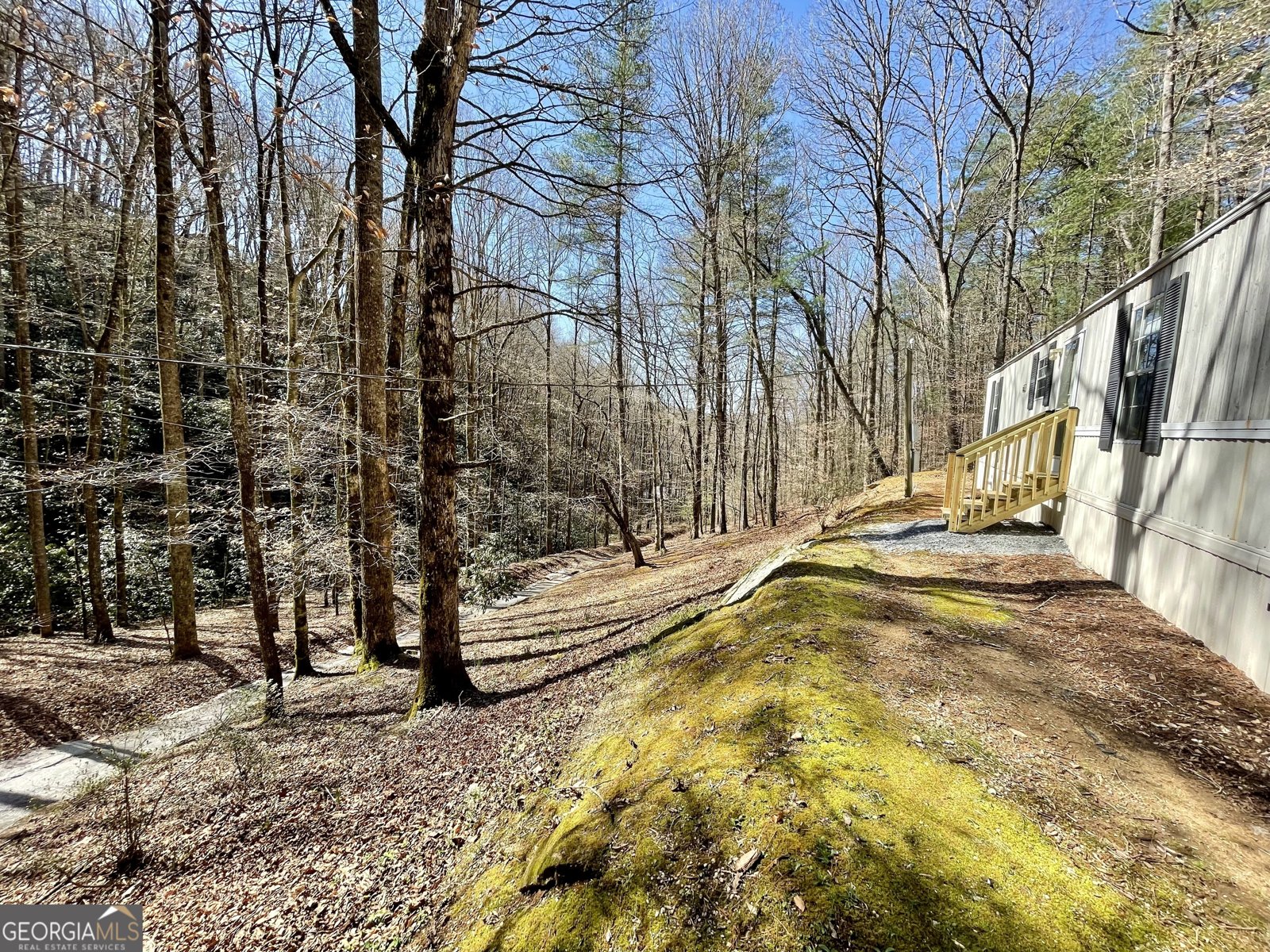 119 Cub Lane Rabun Gap - Photo 33