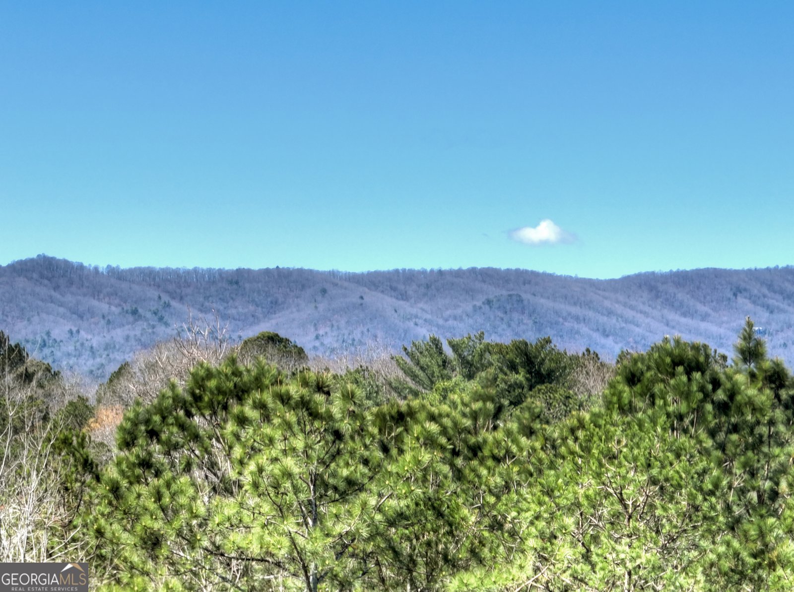 229 Crossroads Church Road Ellijay - Photo 10