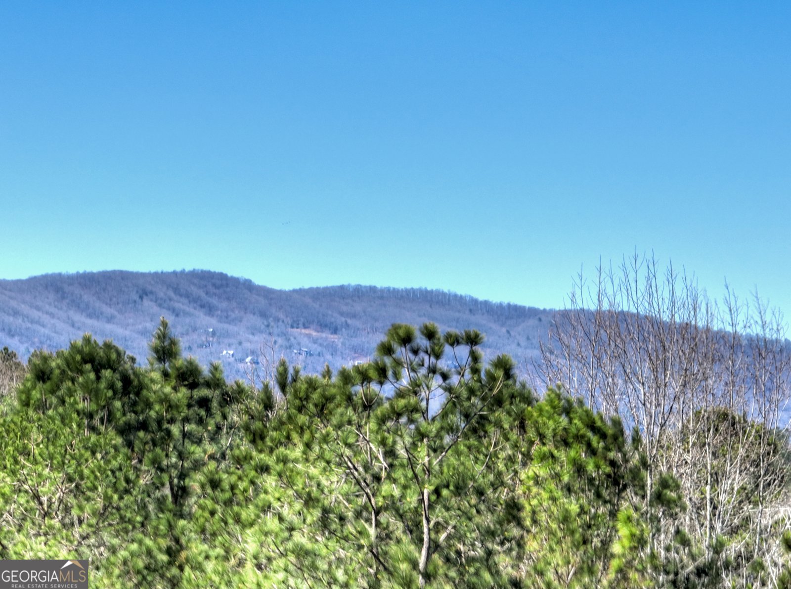 229 Crossroads Church Road Ellijay - Photo 11