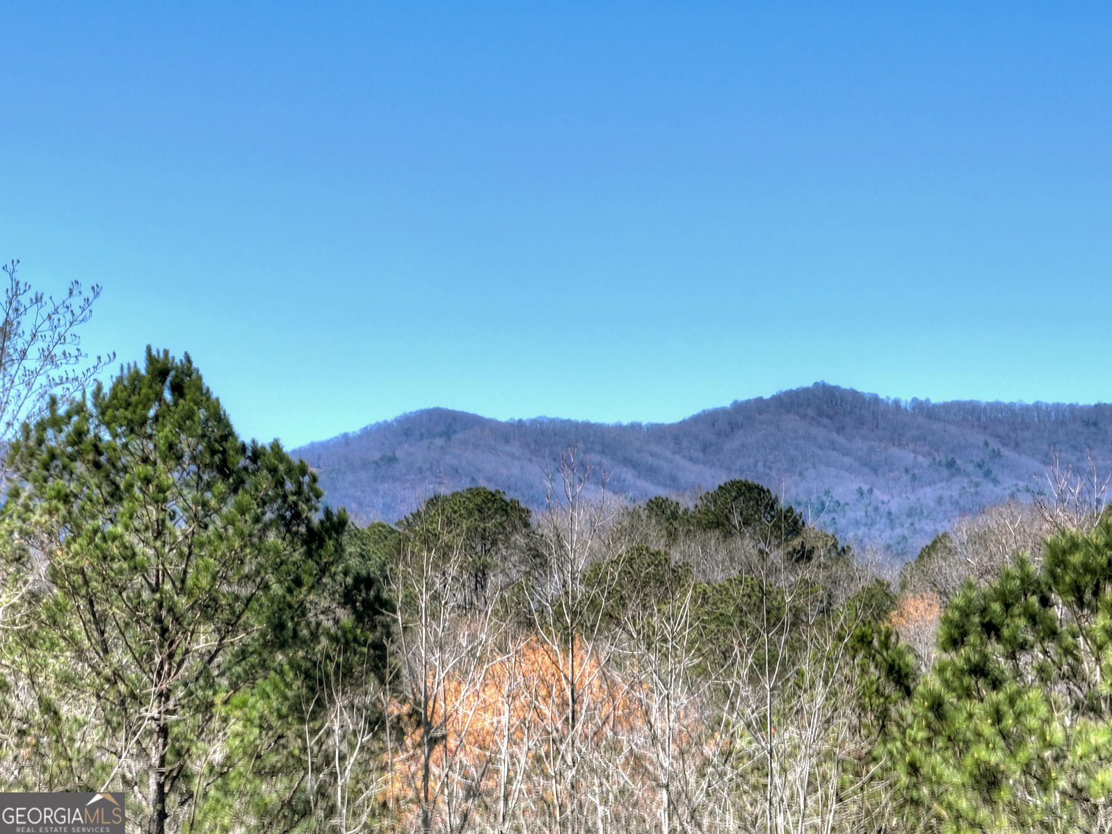 229 Crossroads Church Road Ellijay - Photo 12
