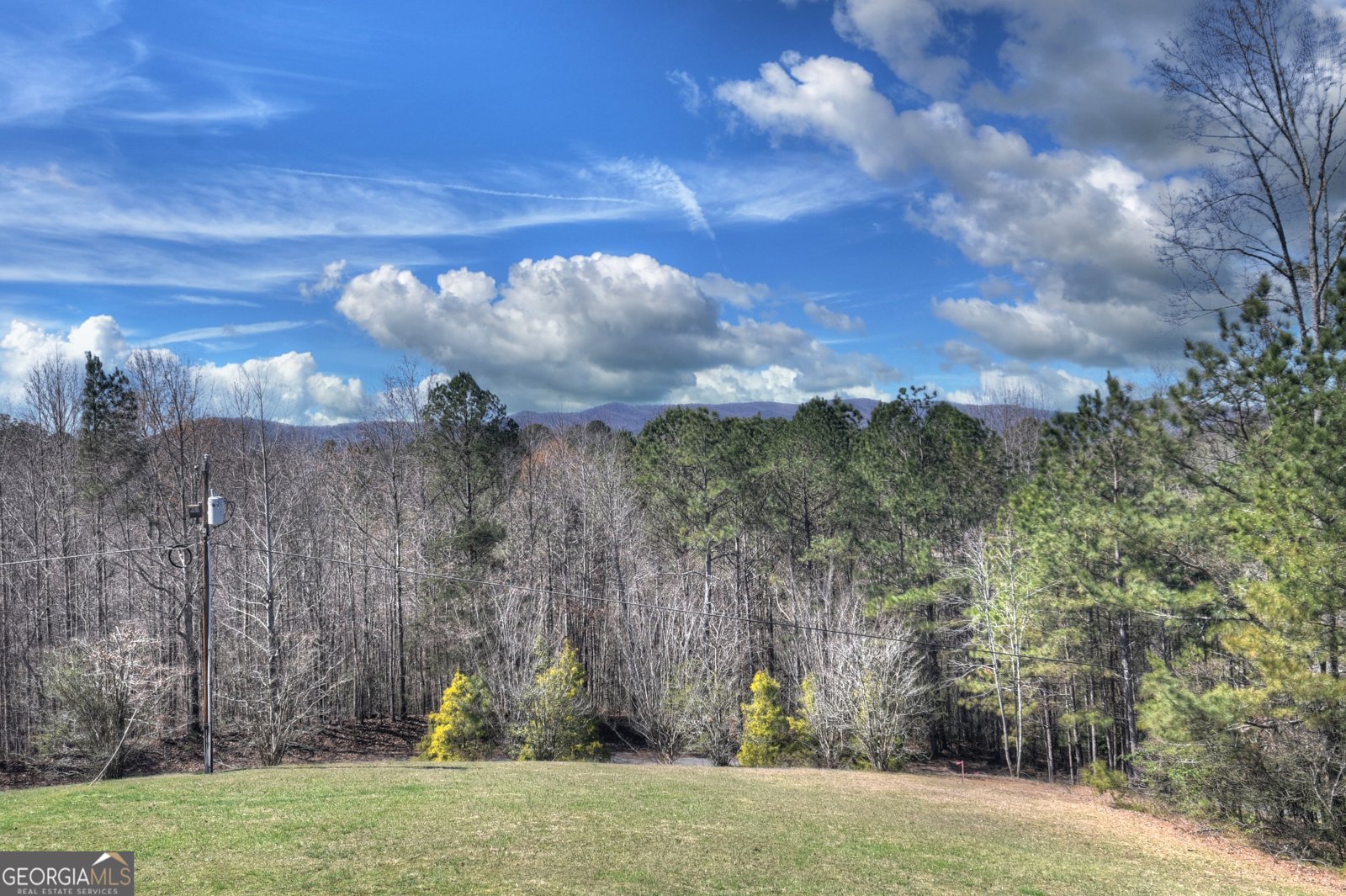 229 Crossroads Church Road Ellijay - Photo 51