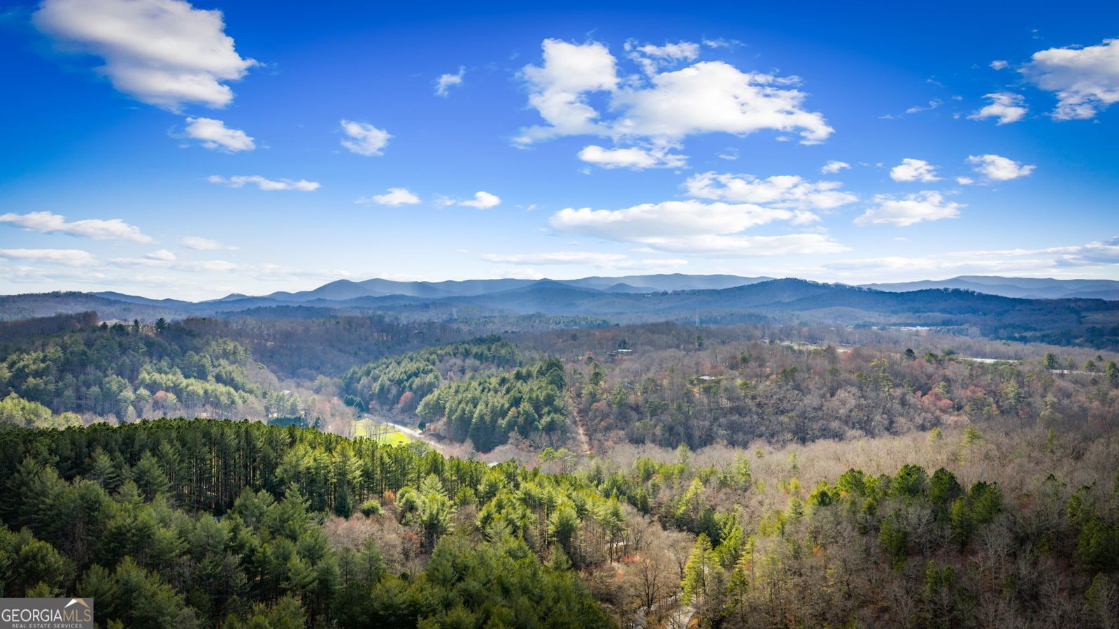 95 Woodhaven Road Blue Ridge - Photo 8