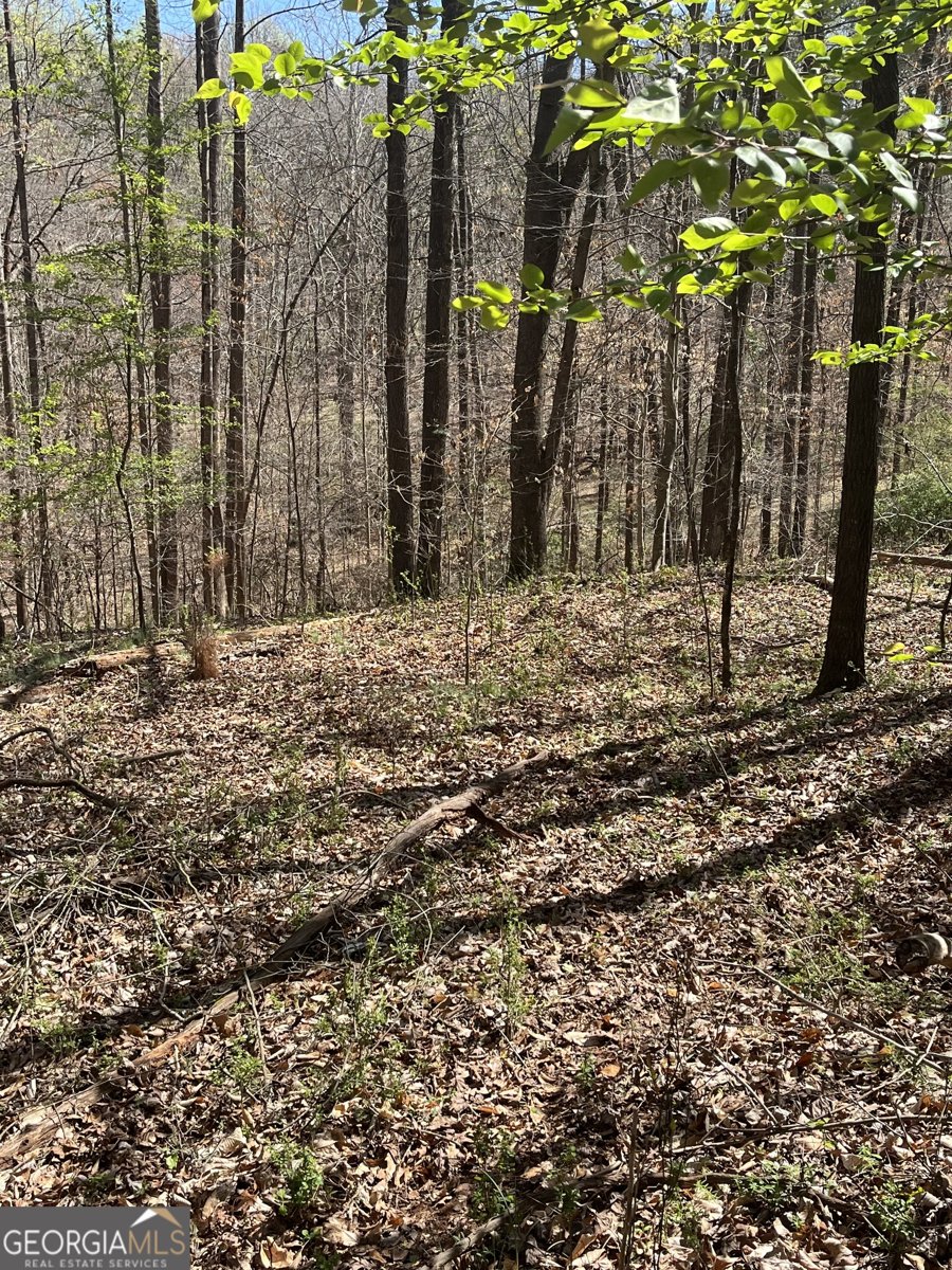 861 Boss Hardy Road Winder - Photo 9