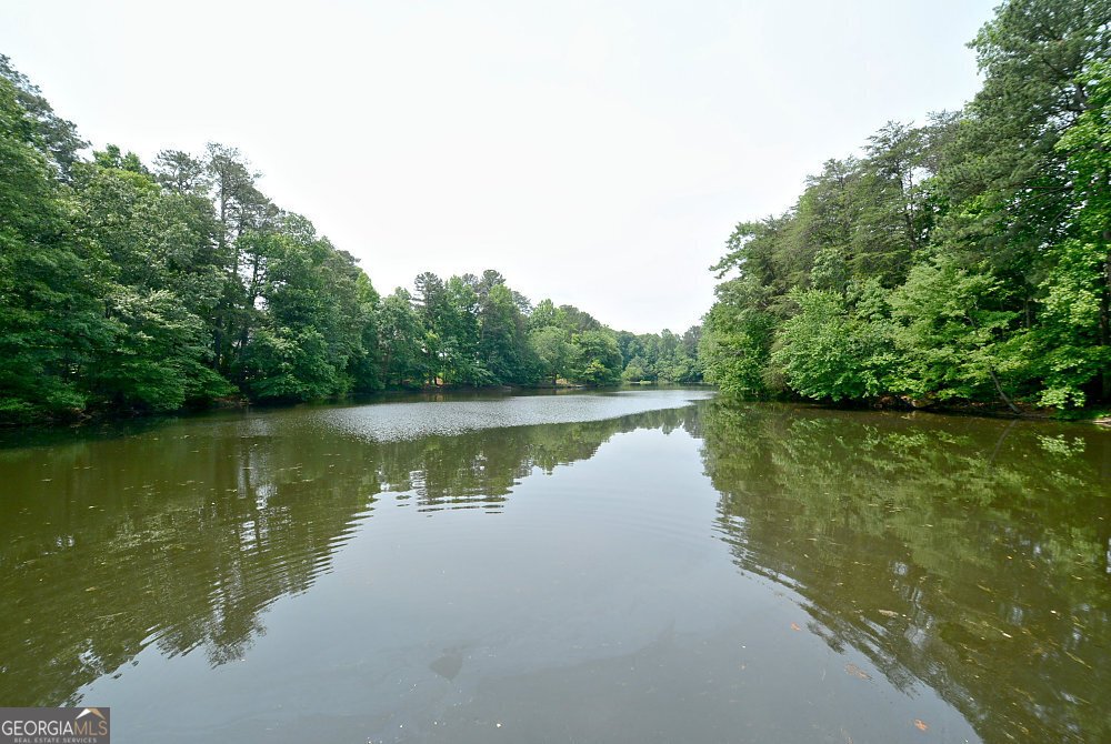 1463 Wood Thrush Way Marietta - Photo 109