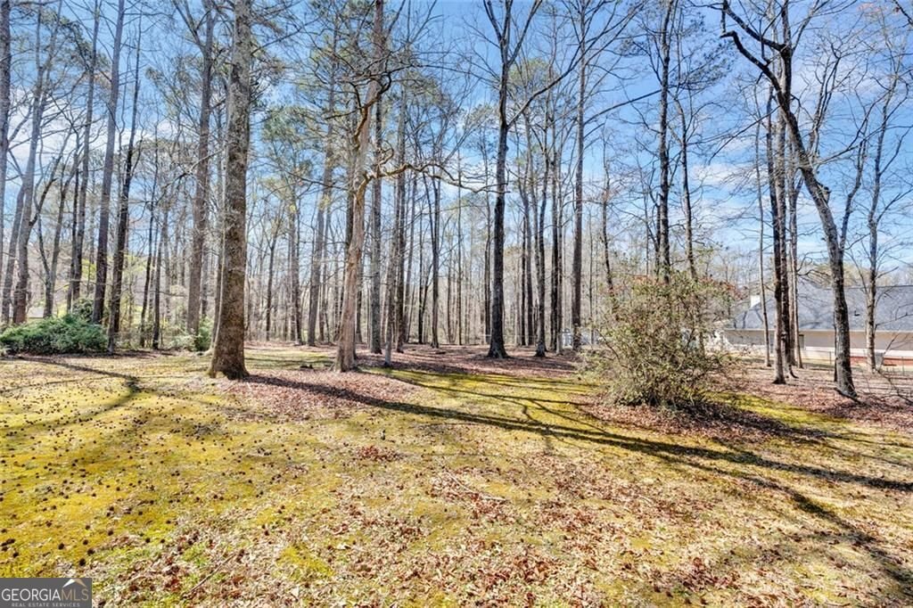 395 Cedar Lane Conyers - Photo 29