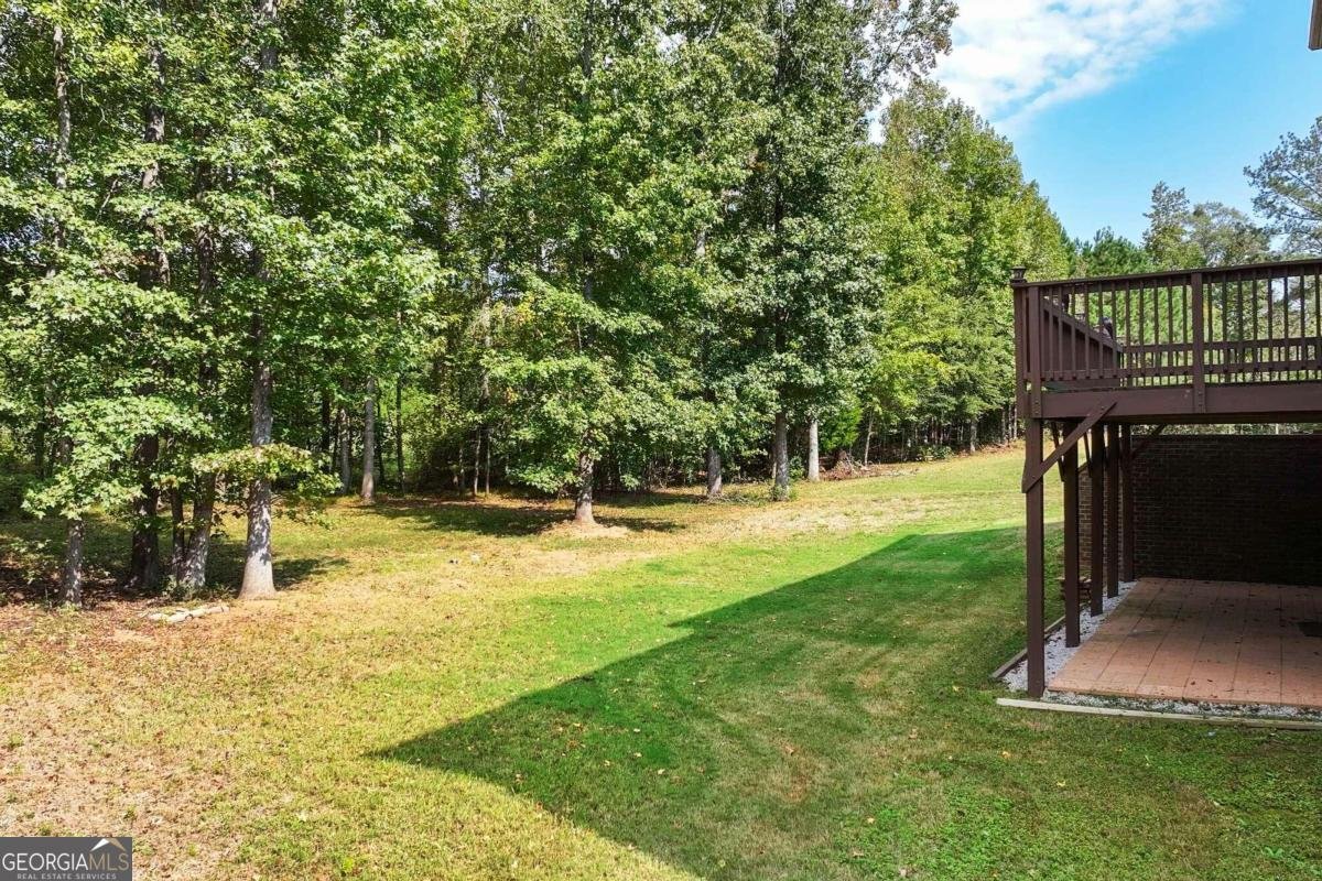 2214 Golden Eagle Drive Locust Grove - Photo 65