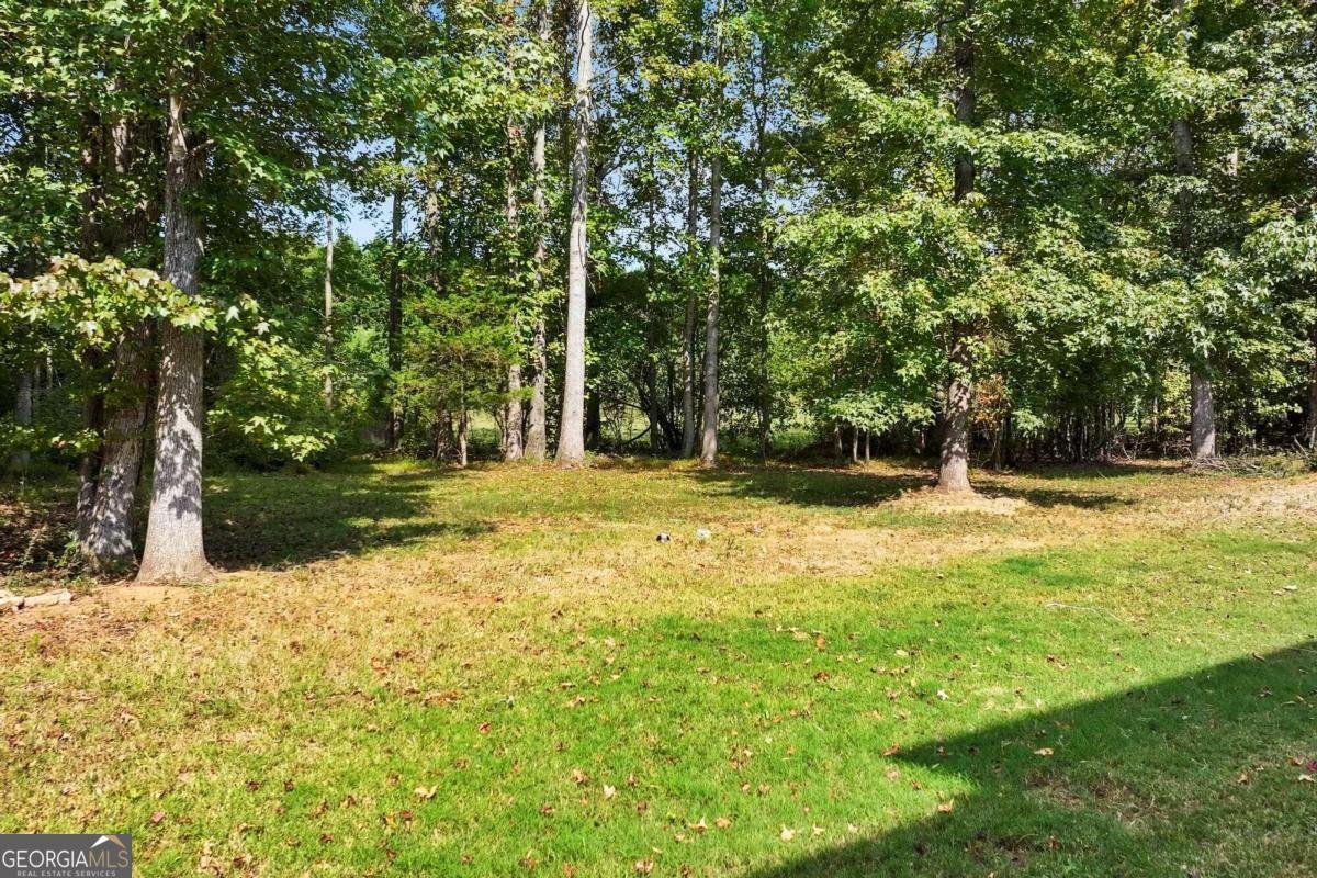 2214 Golden Eagle Drive Locust Grove - Photo 66