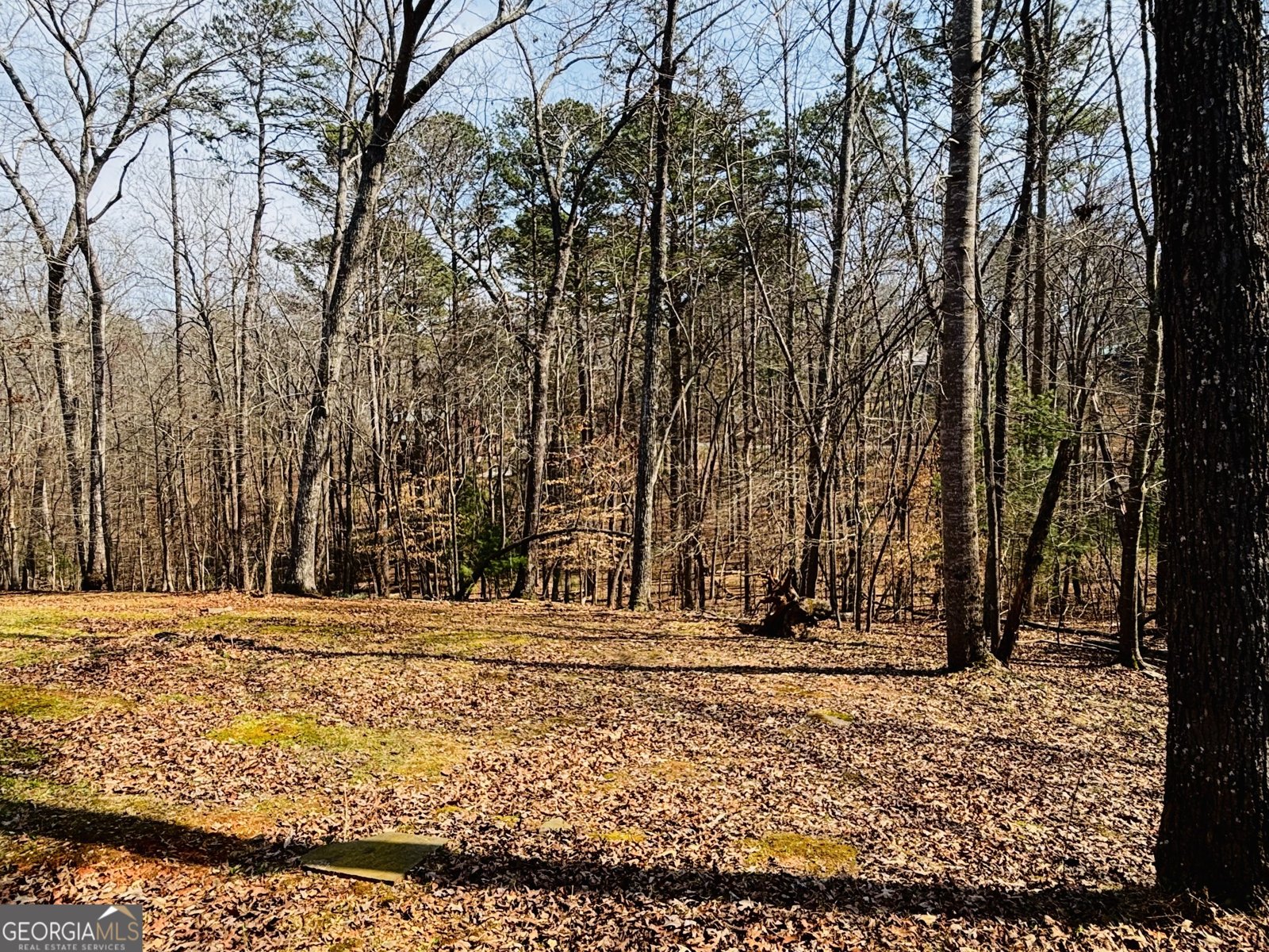 135 Adina Drive Ellijay - Photo 29