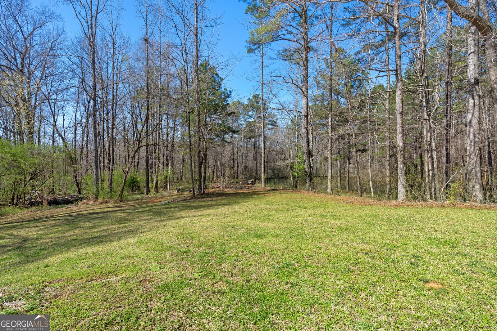 100 Barry Hopson Road Franklin - Photo 32