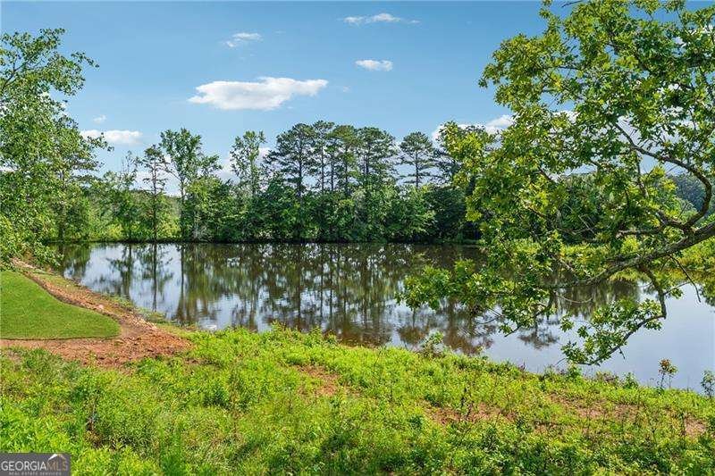 7420 Wild Violet Drive Cumming - Photo 60