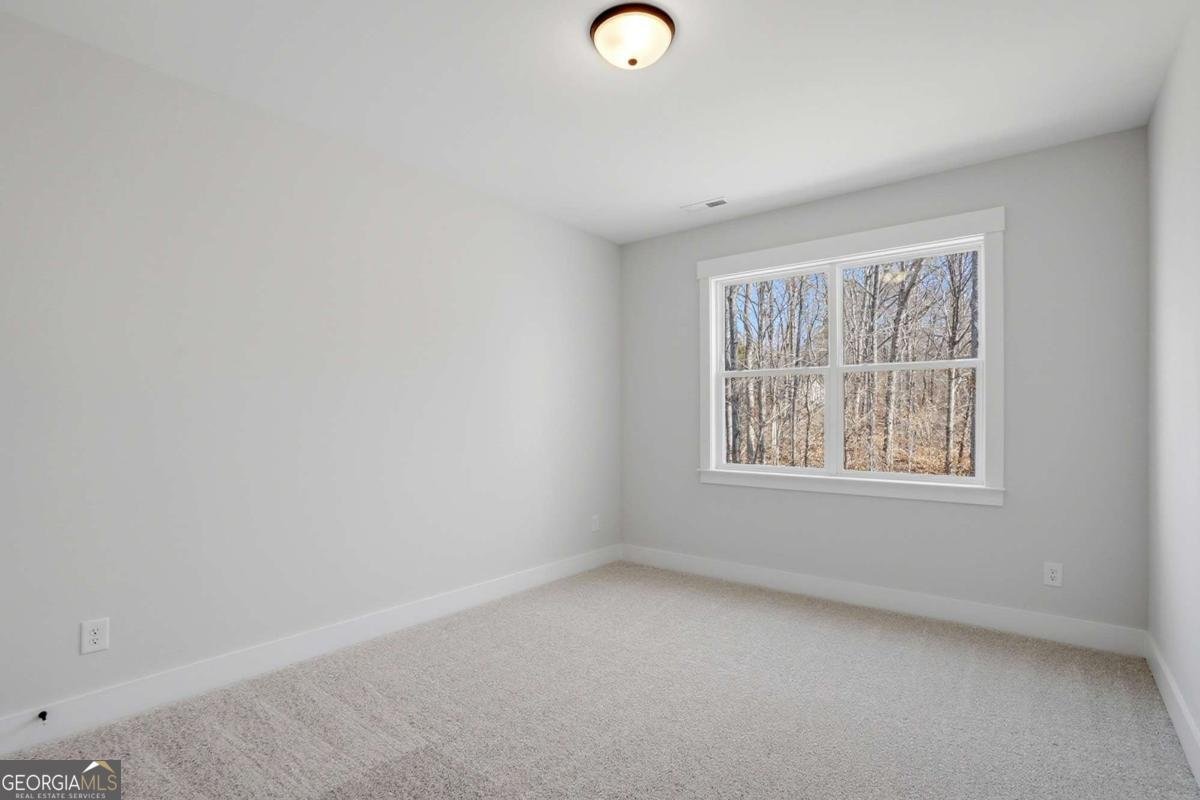 115 Cedar Crest Lane Dawsonville - Photo 39