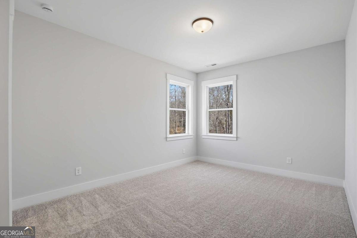 115 Cedar Crest Lane Dawsonville - Photo 66