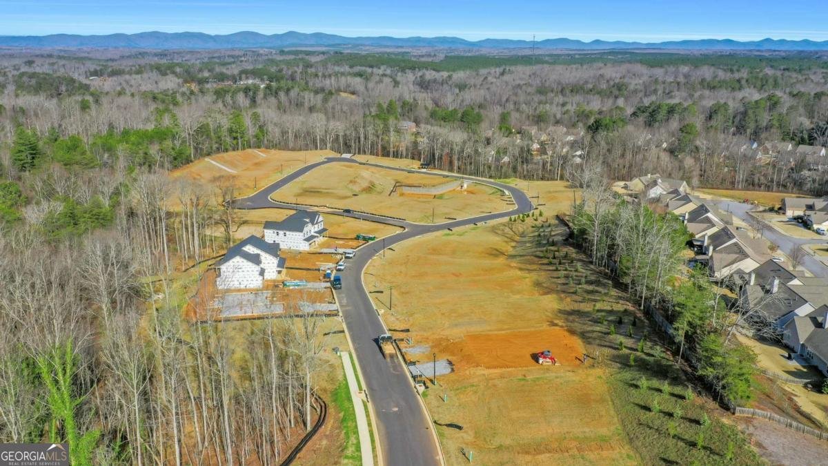 115 Cedar Crest Lane Dawsonville - Photo 85