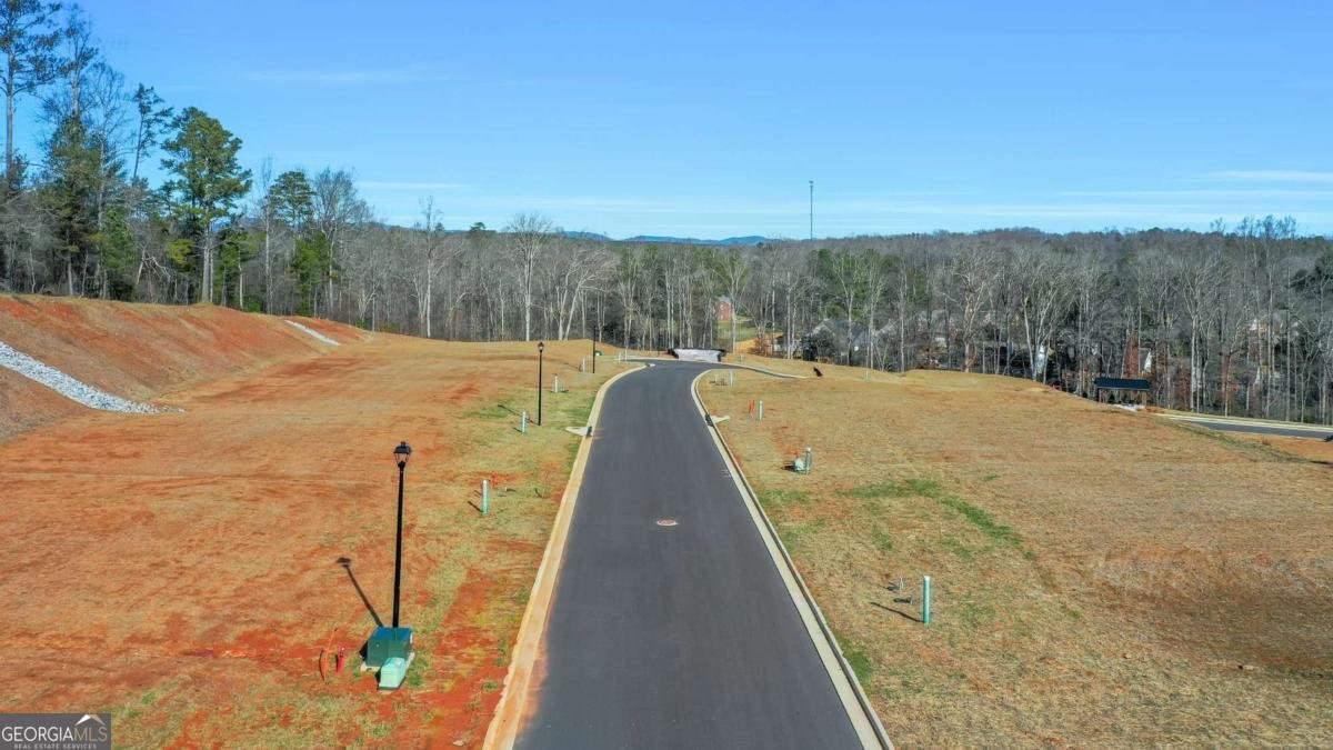 115 Cedar Crest Lane Dawsonville - Photo 89