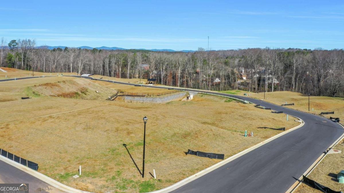 115 Cedar Crest Lane Dawsonville - Photo 99