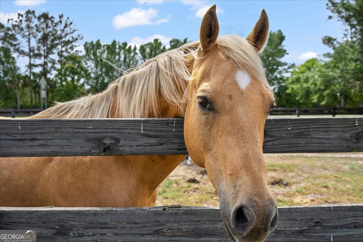 1330 Highway 110 Waynesville - Photo 86