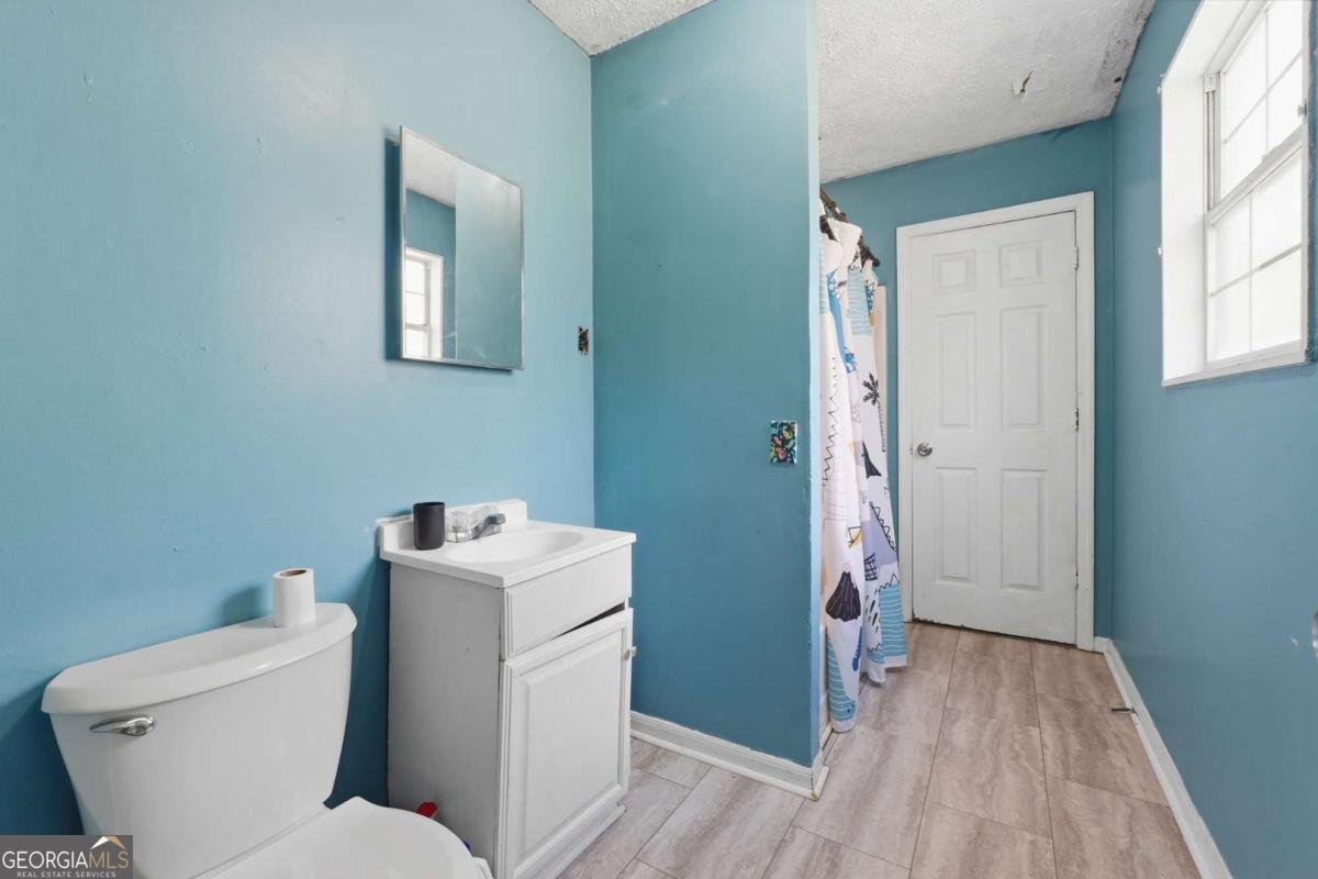 151 Grandma Branch Road Grantville - Photo 21