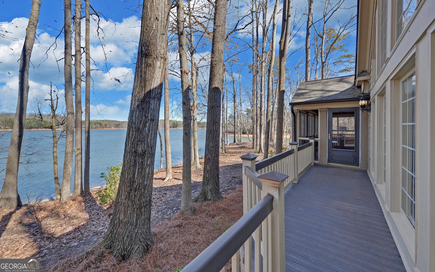 114 Blue Ridge Place Lavonia - Photo 60