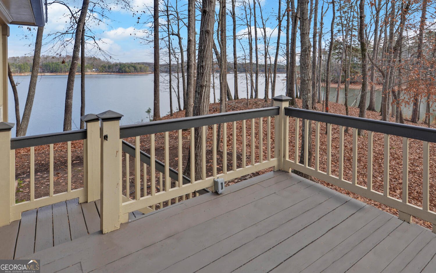 114 Blue Ridge Place Lavonia - Photo 61