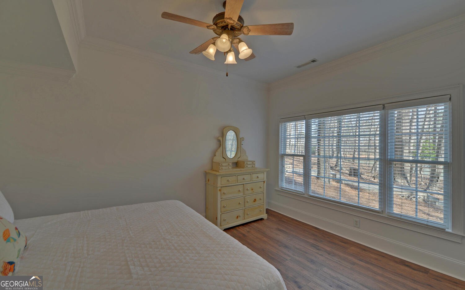 114 Blue Ridge Place Lavonia - Photo 63