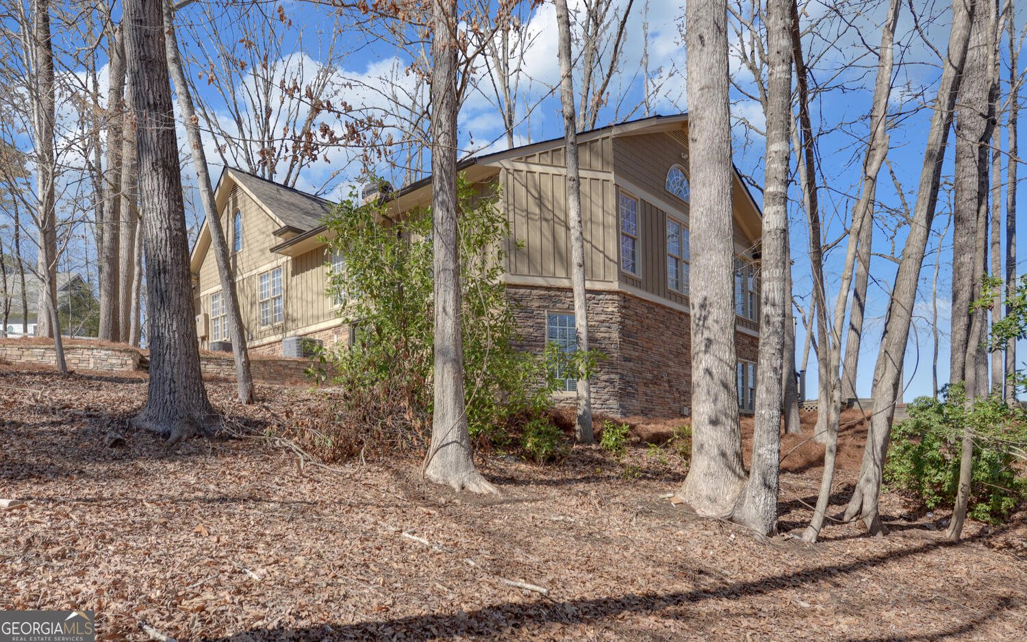 114 Blue Ridge Place Lavonia - Photo 72