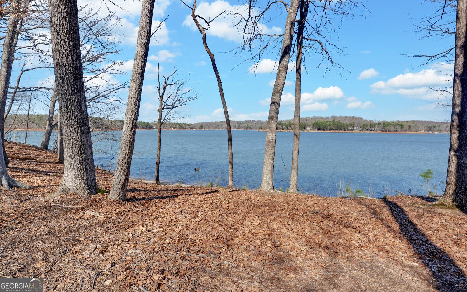 114 Blue Ridge Place Lavonia - Photo 75