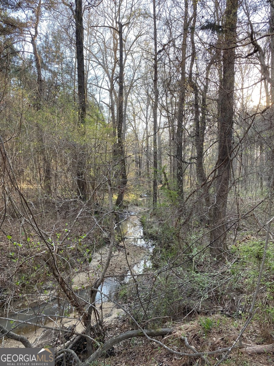 696 GA Hwy 49 W No Street Suffix Milledgeville - Photo 12