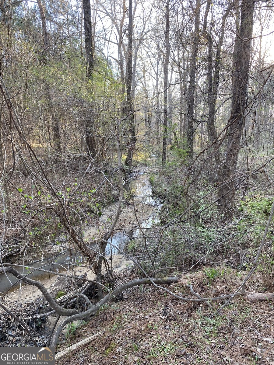 696 GA Hwy 49 W No Street Suffix Milledgeville - Photo 13