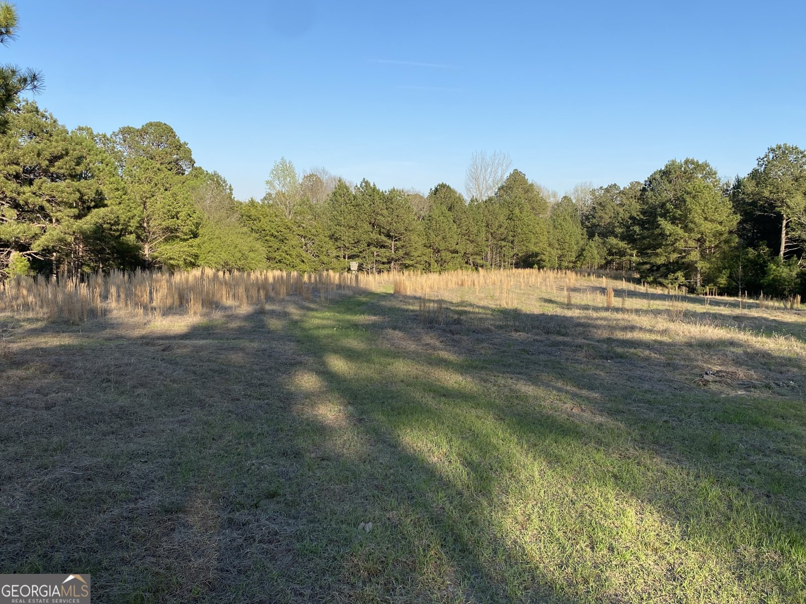 696 GA Hwy 49 W No Street Suffix Milledgeville - Photo 14