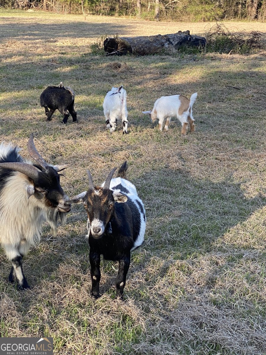 696 GA Hwy 49 W No Street Suffix Milledgeville - Photo 16