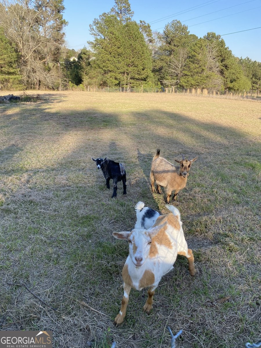 696 GA Hwy 49 W No Street Suffix Milledgeville - Photo 17