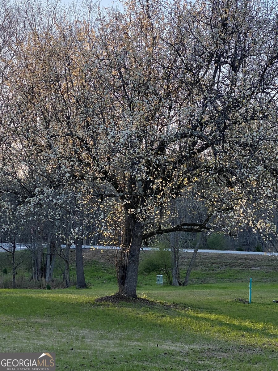 696 GA Hwy 49 W No Street Suffix Milledgeville - Photo 21