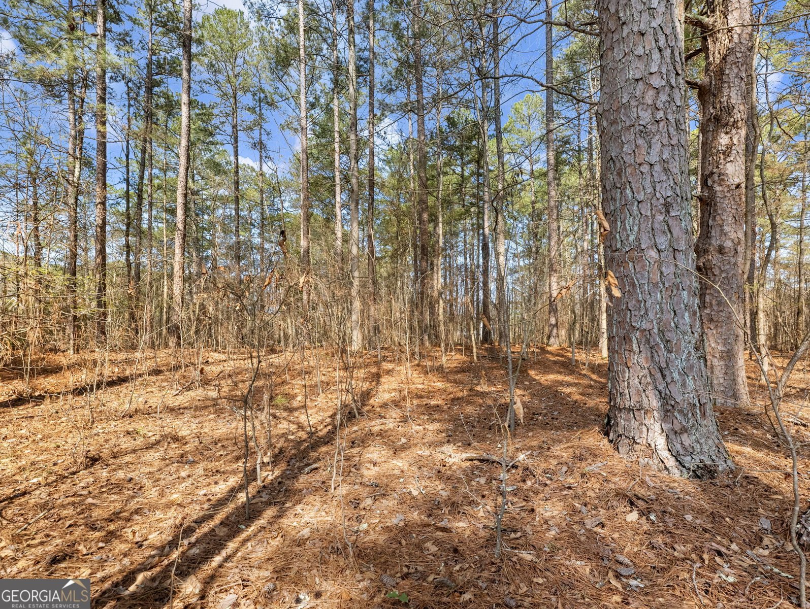 1686 Shoal Creek Road Monroe - Photo 41