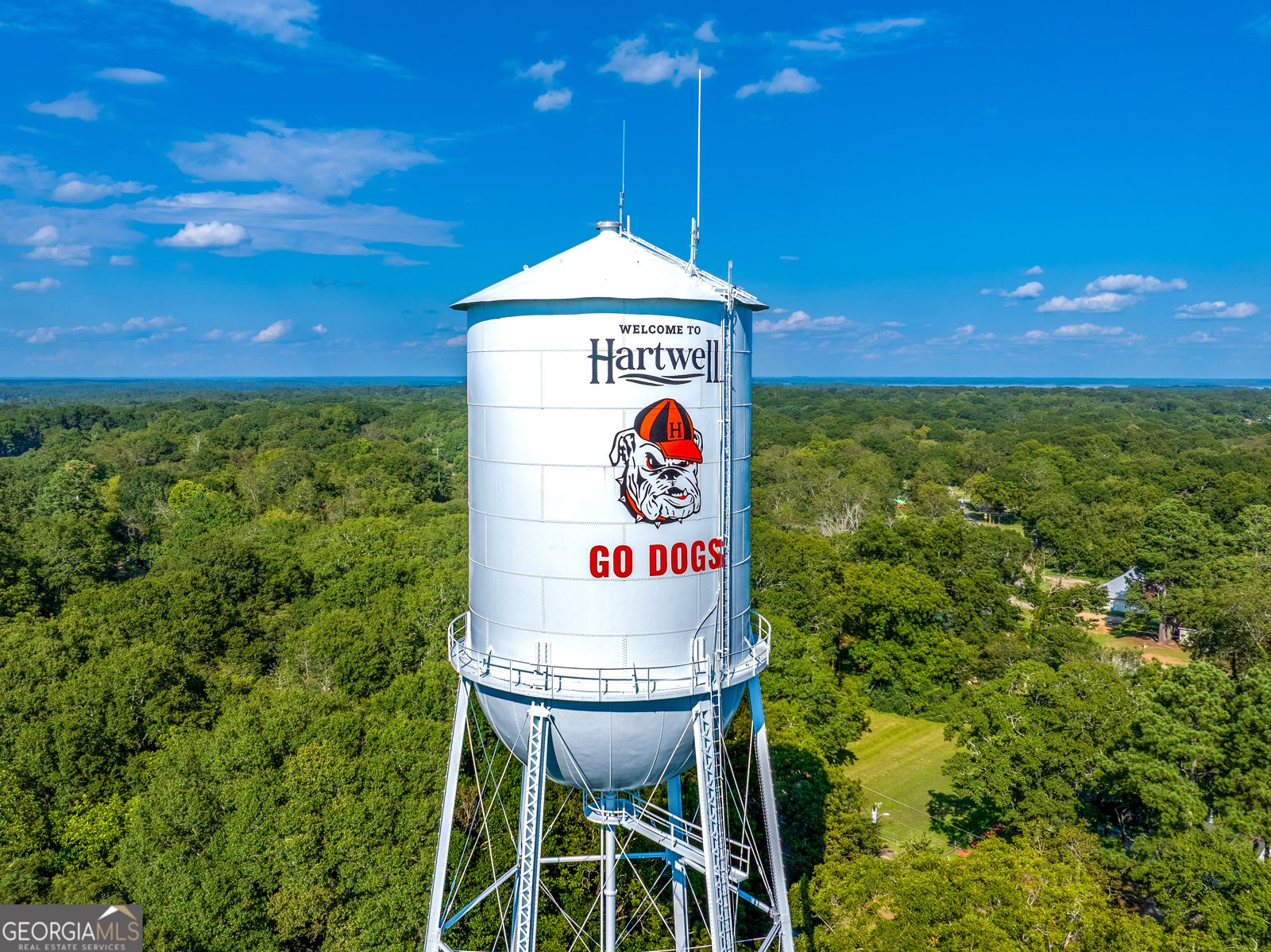 868 Fairview Avenue Hartwell - Photo 40