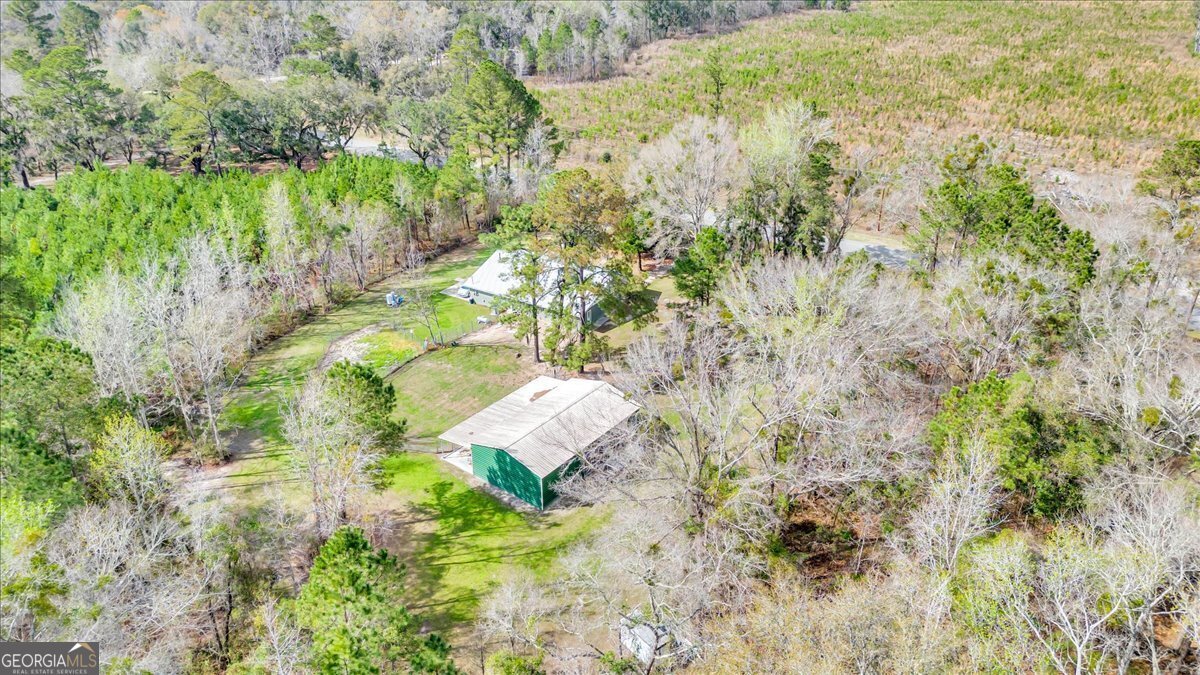 3843 Lewis Frasier Road Midway - Photo 41